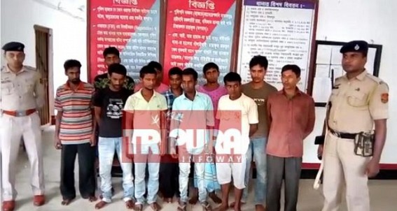 11 wood smugglers arrested at Udaipur  : Jail-returned Criminal under 'Arms Act' spotted as Mastermind 